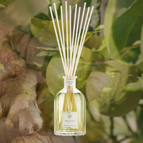 aromaticheskii-diffuzor-ginger-lime-dr-vranjes