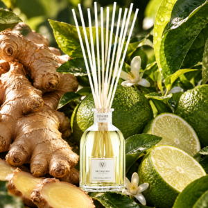 Ароматический диффузор Ginger e Lime DR.VRANJES