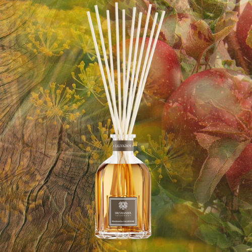 dr-vranjes-aromaticheskii-diffusor-calvados