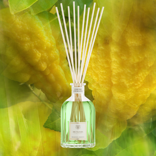 Limone_Cedrato