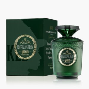aromaticheskaya-svecha-tainstvennyi-les-241-gr