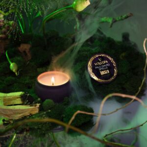 voluspa-aromaticheskaya-svecha-Palo-Santo-Spells-113-gr